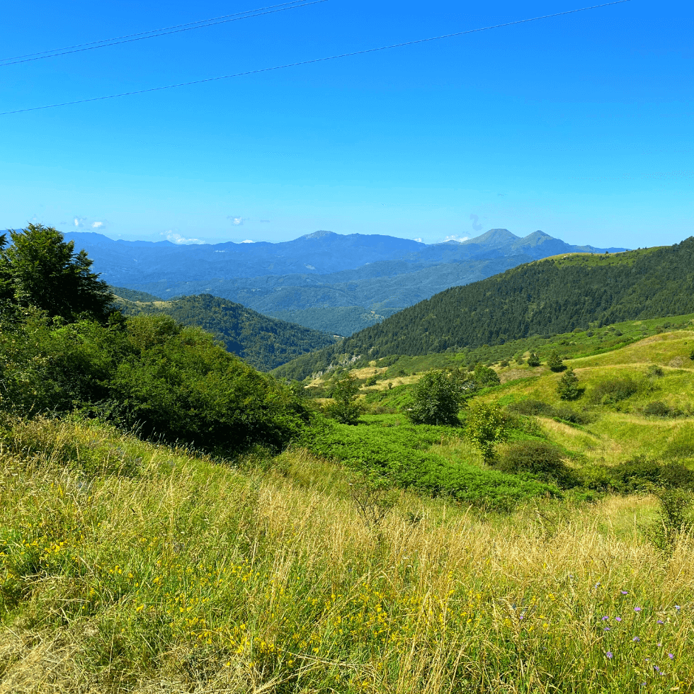 val-di-vara-1.png